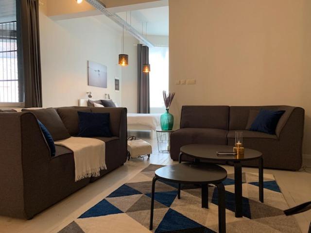 Loft Saint Remacle Apartment